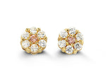 Load image into Gallery viewer, Kid's 14K Yellow Gold Flower Stud Earrings
Collection: Cluster