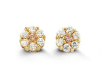 Load image into Gallery viewer, Kid's 14K Yellow Gold Flower Stud Earrings
Collection: Cluster
Dimen