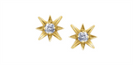 Load image into Gallery viewer, 14K Yellow Gold Northern Star Diamonds Stud Earrings
Total Diamonds: