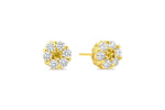 Load image into Gallery viewer, Kid's 14K Yellow Gold Flower Stud Earrings
Collection: Cluster