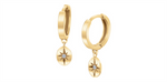 Load image into Gallery viewer, 10K Yellow Gold Northern Star Diamonds Dangle Earrings
Total Diamonds
