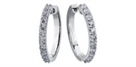 Load image into Gallery viewer, 10K White Gold Diamonds Medium Hoop Earrings