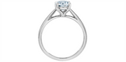 14K White Gold Solitaire Round Lab Diamond Engagement Ring
Centre Sto