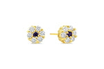 Load image into Gallery viewer, Kid&#39;s 14K Yellow Gold Flower Stud Earrings
Collection: Cluster
