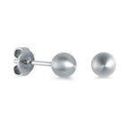 Load image into Gallery viewer, Stainless Steel Ball Matte&#39; Stud Earrings
Dimensions: 5mm mm
