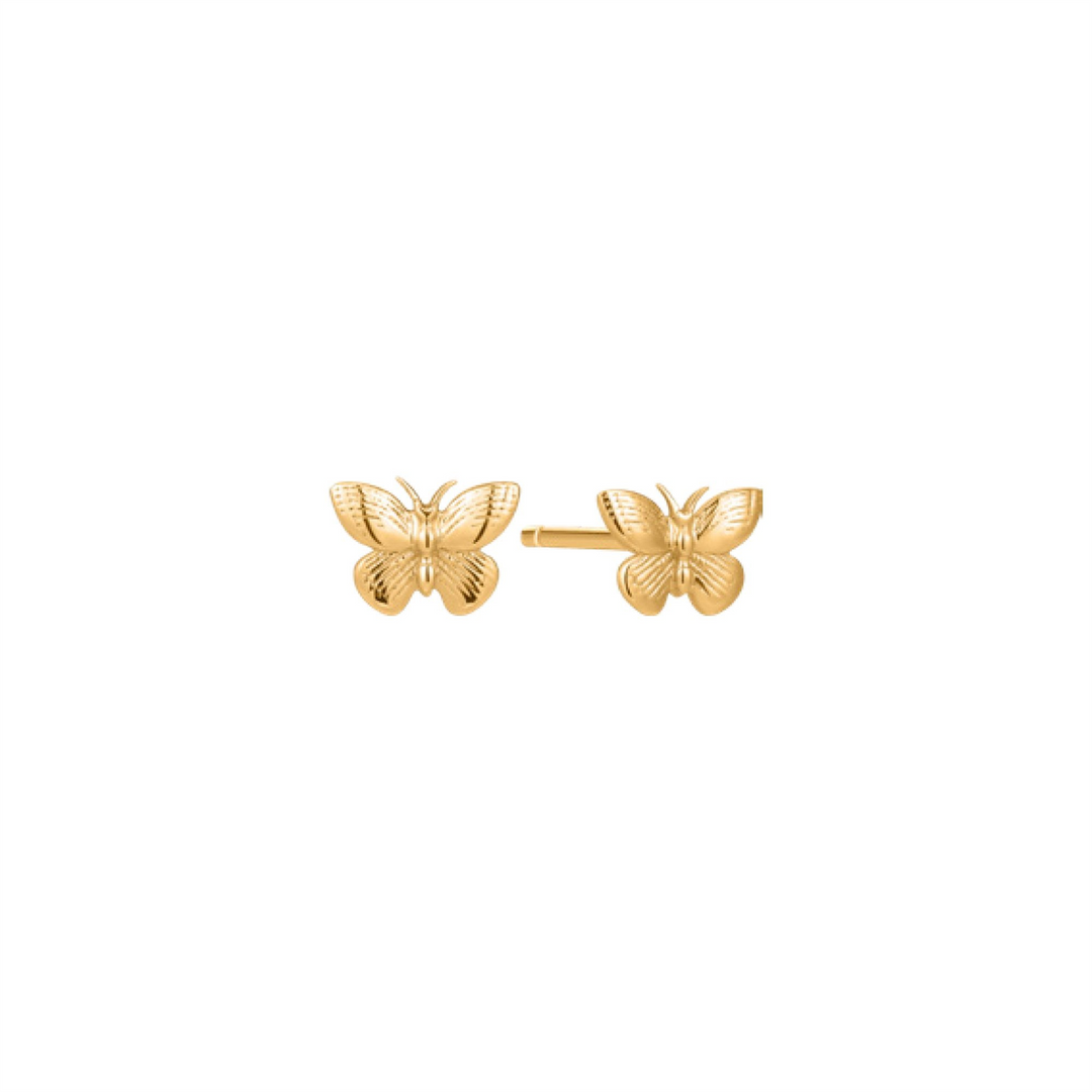 10K Yellow Gold Butterfly Stud Earrings 
 
Dimensions: 6.5mm x 4.5mm