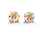 Load image into Gallery viewer, Kid&#39;s 14K Yellow Gold Flower Stud Earrings
Collection: Cluster
