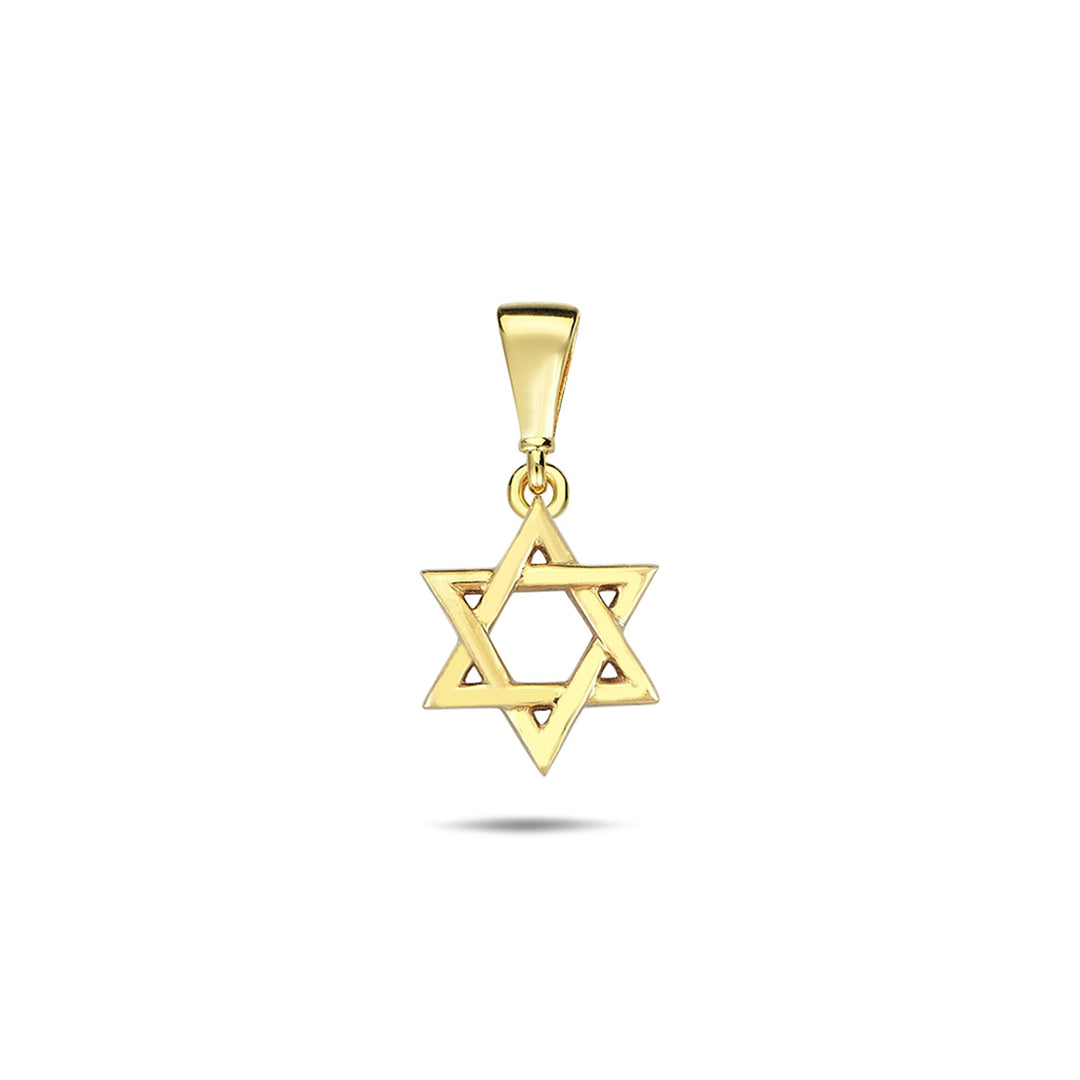 10K Yellow Gold Polished Star of David Pendant 
 
Length: 12.6mm
Wi