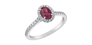 10K White Gold Halo Ruby and Diamonds Ring