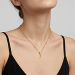 Load image into Gallery viewer, Yellow Gold Vermeil Sterling Silver Chilli Horn Pendant Necklace

PE
