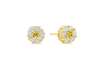 Load image into Gallery viewer, Kid&#39;s 14K Yellow Gold Flower Stud Earrings
Collection: Cluster
